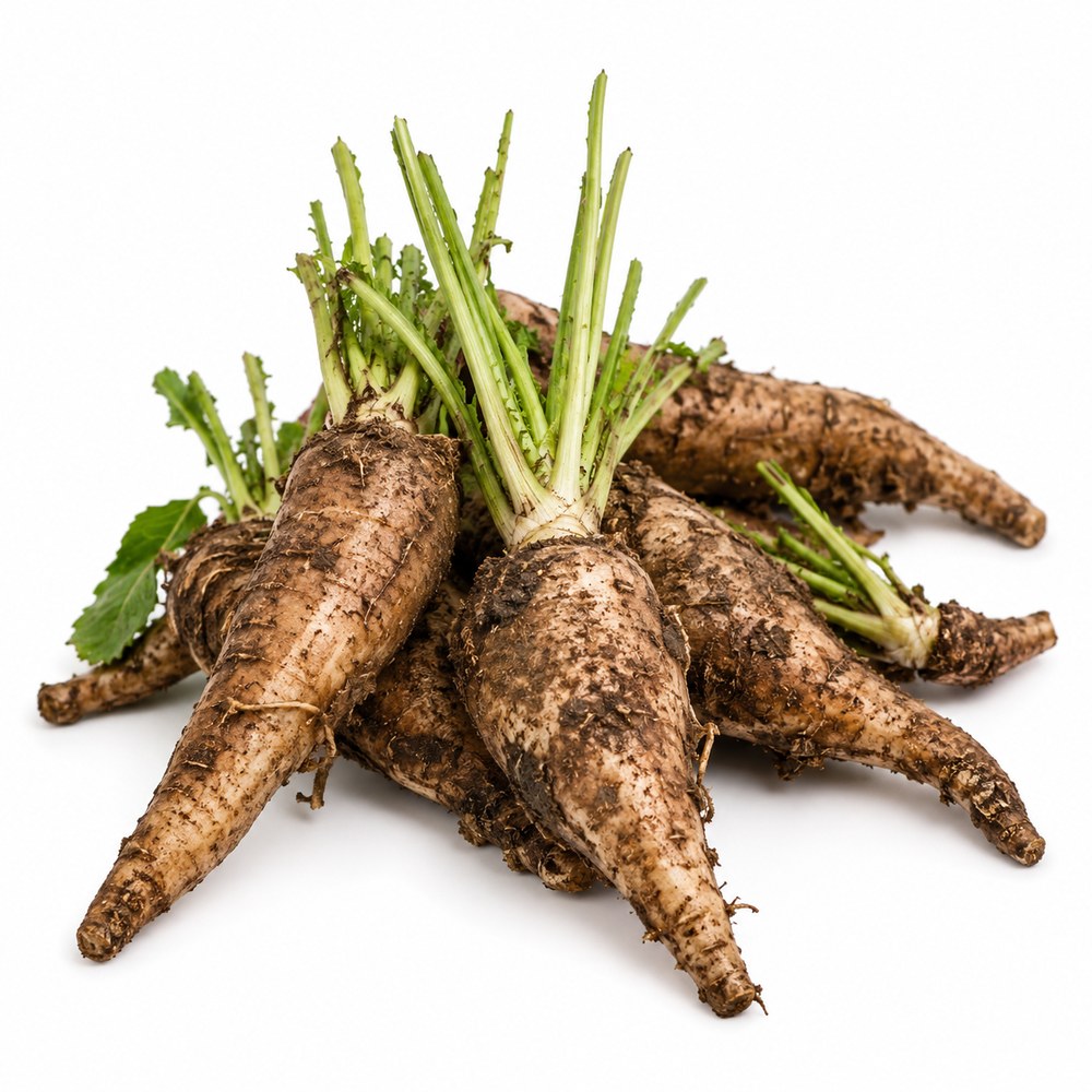 Chicory root inulin